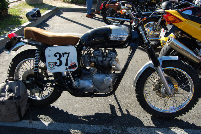 Triumph
