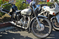 Norton