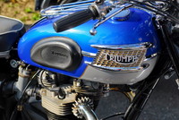 Triumph