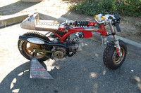DSC 1384
