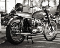Triumph