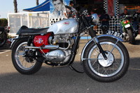 1967 BSA Spitfire